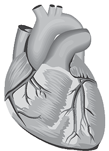 srdce logo